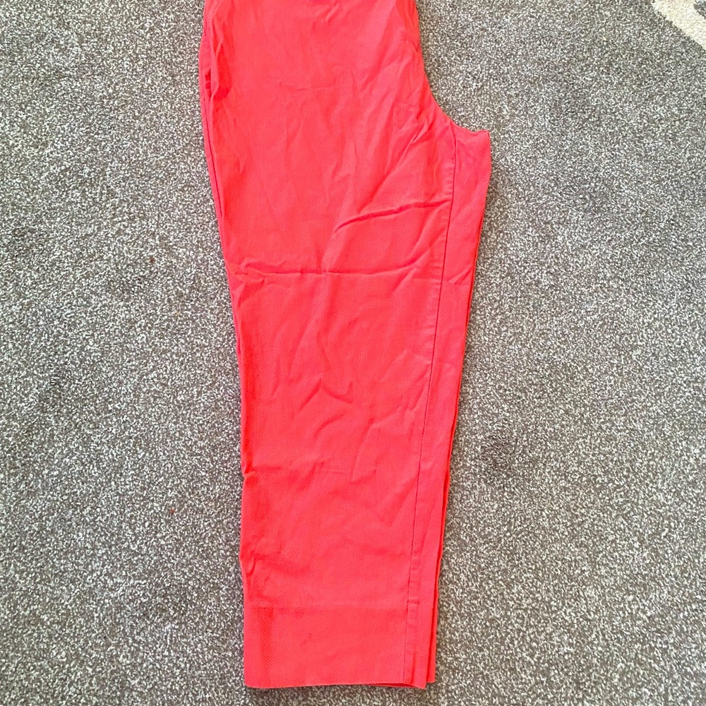 Ankle Pants
